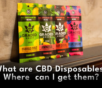 What are CBD Disposable Vapes? Where Can I buy Disposable Vapes with CBD in them?