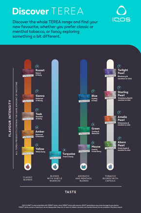IQOS ILUMA ONE PEBBLE GREY with TWO PACKS OF TEREA