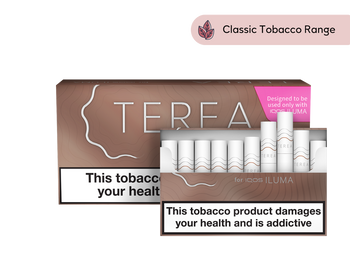 Teak Terea Front view